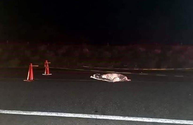 Muere Hombre Arrollado En Carretera Nacional