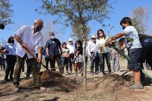 Tendrá Escobedo su micro bosque Tendrá Escobedo su micro bosque