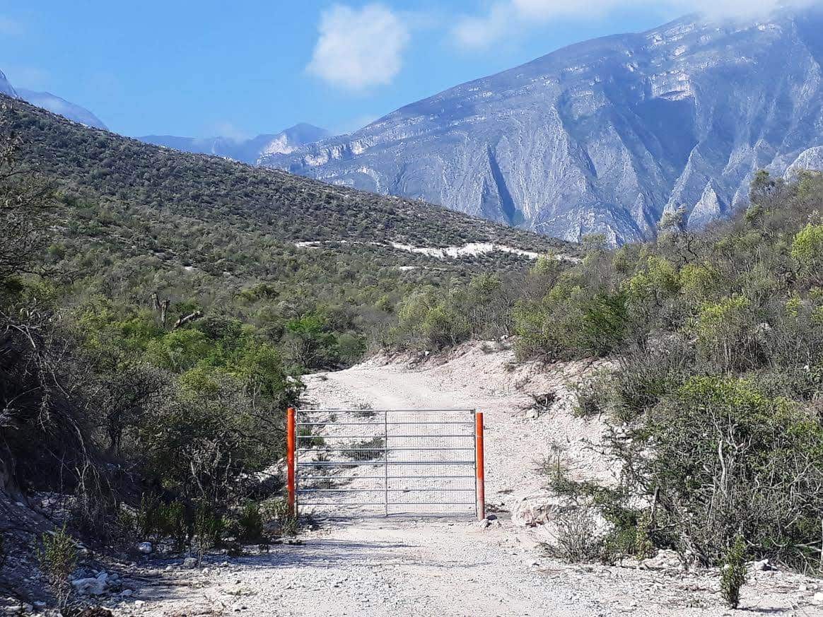 Seguirá vigilando GLPAN desmontes en Parque Nacional Cumbres Seguirá vigilando GLPAN desmontes en Parque Nacional Cumbres