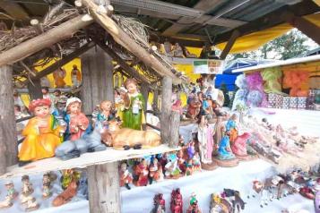 Llega a Monterrey la tradicional Feria del Pino