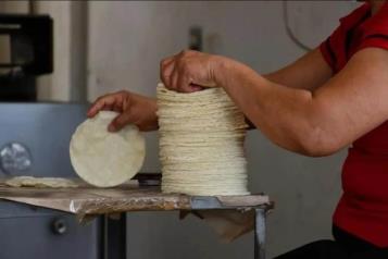 Gobierno aprieta a exportadores de maíz con 50% de impuestos