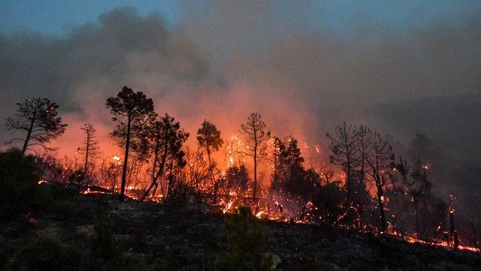 Al menos 34 personas mueren en Argelia por incendios