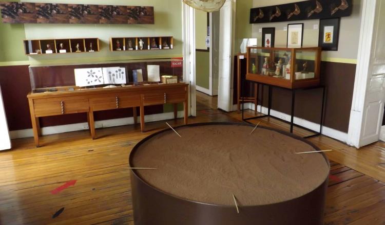 Museo del Chocolate: sabores, olores y la historia del cacao