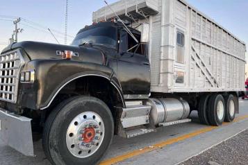 Detienen a hombre con cinco armas cortas y municiones en Galeana