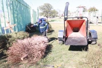 Tendr&aacute; Escobedo centros de acopio de pinos