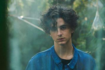 Sorprende figura de cera de Timoth&eacute;e Chalamet en el Madame Tussauds