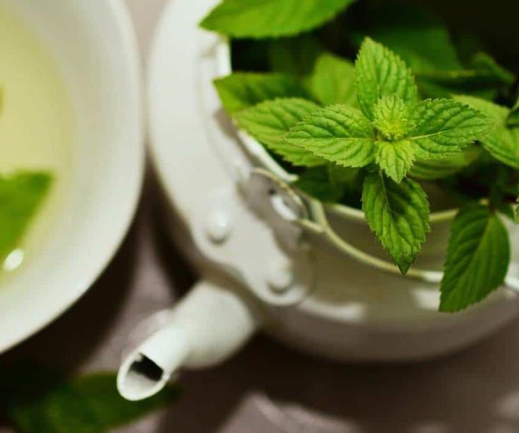 La infusión de menta purifica el hígado