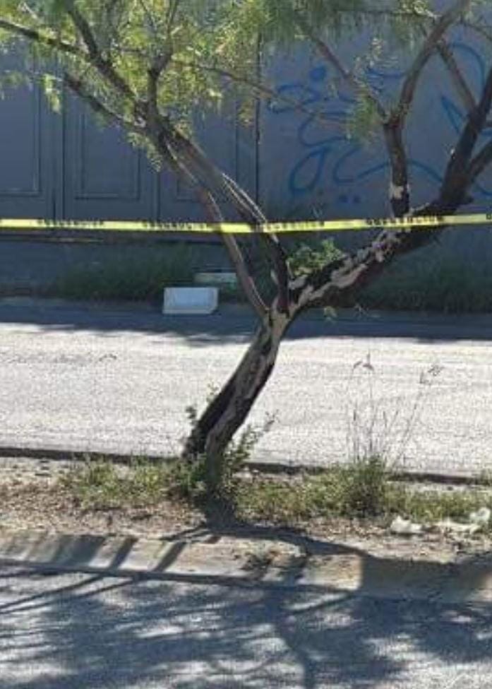 La cabeza de un hombre de barba ydentro de una hilera, fue encontrada cerca de una caseta de vigilancia de la policía municipal, ayer en el municipio de Ciénega de Flores.