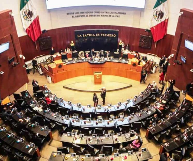 Prepara Senado elección de titular para la CNDH