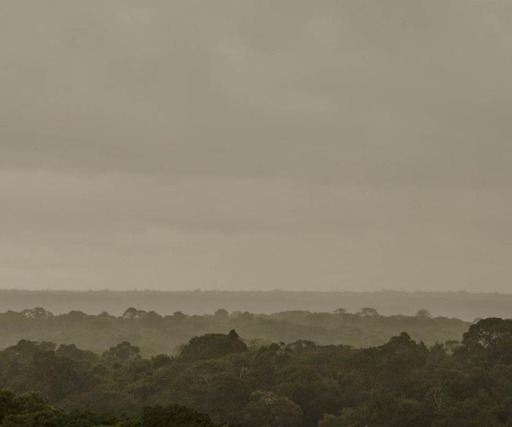 Abundancia de especies vivas se redujo en 73% en los últimos 50 años