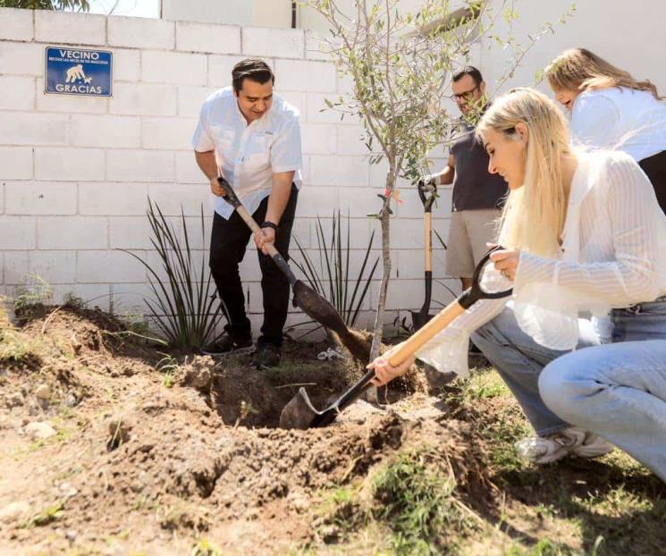 Siembran en SC 5 mil árboles para generar pulmones ecológicos