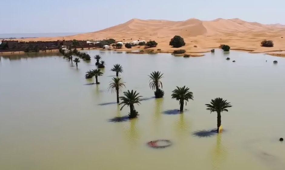 Lluvias atípicas generan inundaciones en el Desierto del Sahara