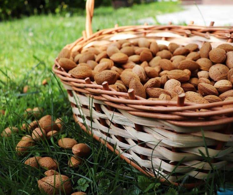 Consumir almendras reduce el colesterol malo