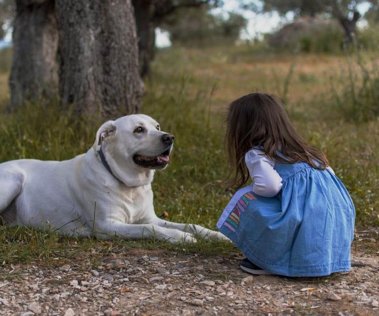 Así ayudan los animales de compañía a los niños