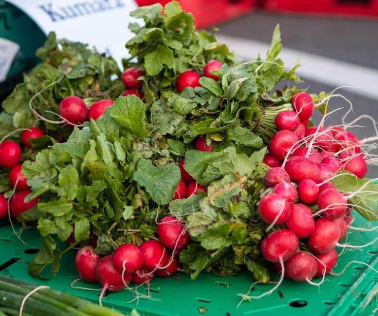 Consume las hojas de esta verdura para reducir inflamación