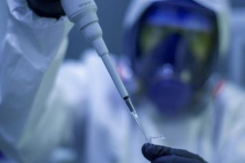 Suprimen c&aacute;ncer en roedores con vacuna microbiana personalizada