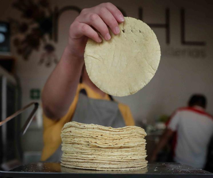 Gobierno de Sheinbaum va por bajar precio de la tortilla hasta 10%