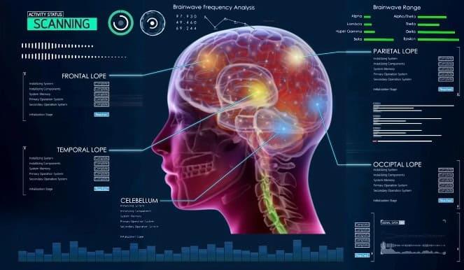 La ciencia demuestra cómo nuestro cerebro procesa el lenguaje