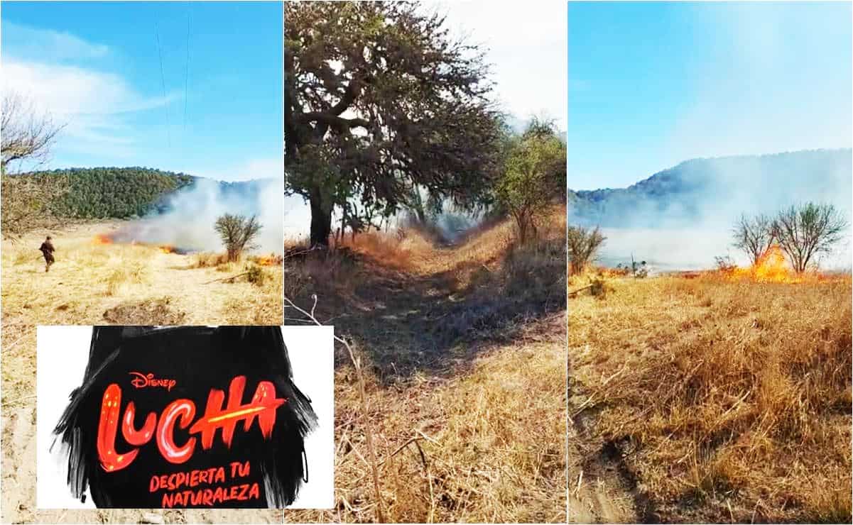 Acusan a producción de Disney de causar incendio ambiental en SLP