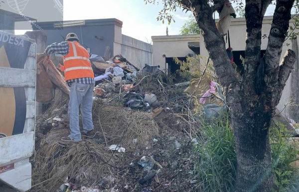 Fumigan para prevenir el dengue en Juárez