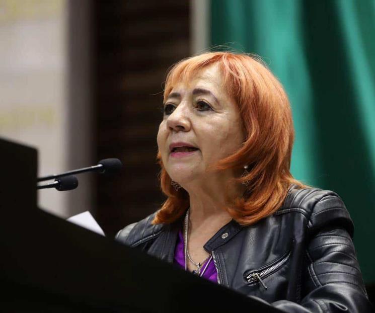 Morena acuerdan apoyar reelección de Rosario Piedra en CNDH