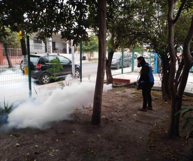 Fumigan escuelas para evitar contagios del dengue en SN