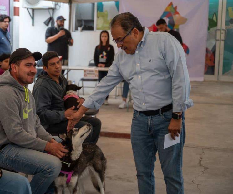 Esterilizan en Escobedo a más de 200 animales