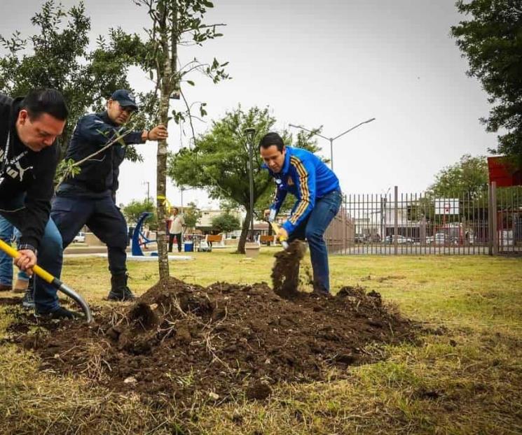 Arranca programa de reforestación ´Arboleando San Nicolás´