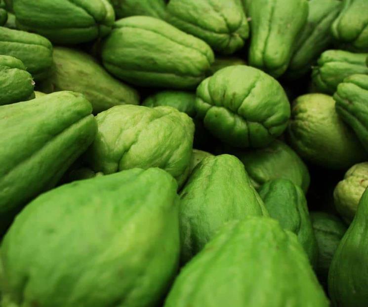 Estas son las propiedades curativas del chayote