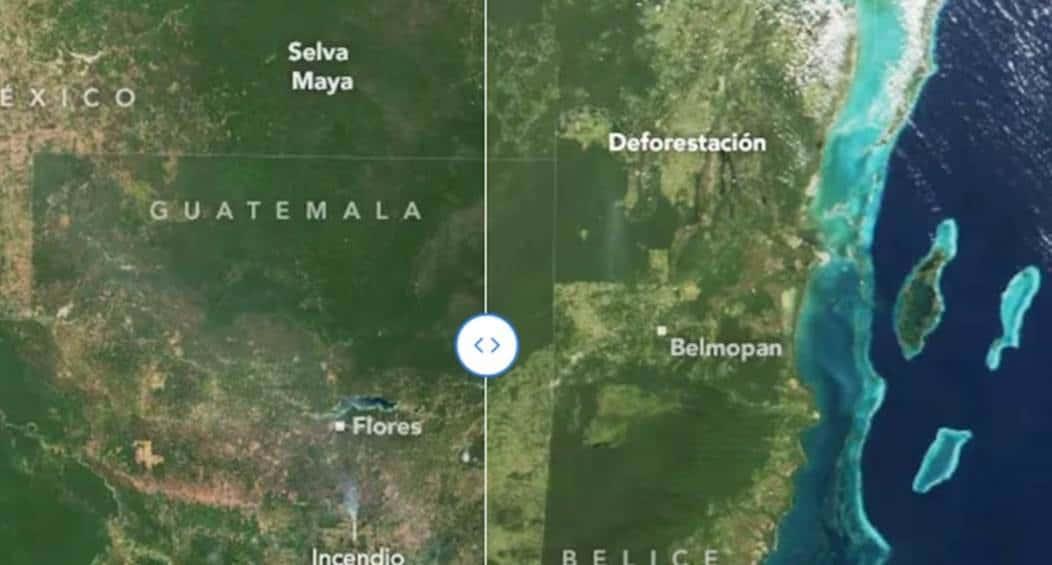 Pérdida de bosques de la Selva Maya; se ha reducido su extensión