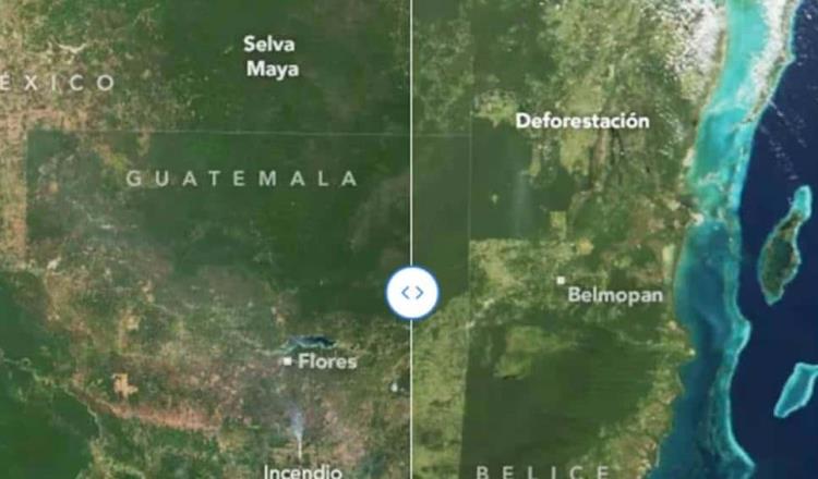 Pérdida de bosques de la Selva Maya; se ha reducido su extensión