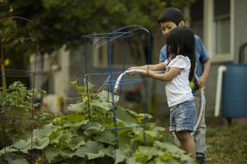 Huertos urbanos, una tendencia sostenible en la alimentaci&oacute;n