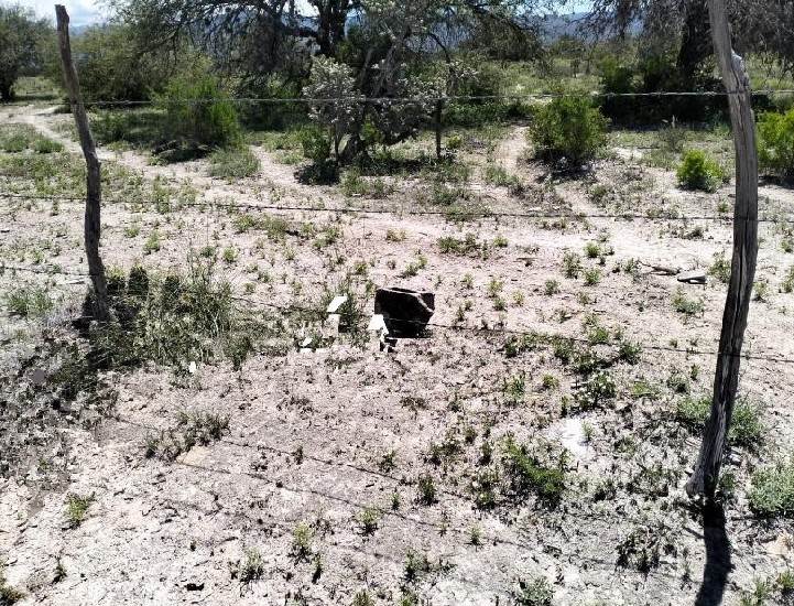 Una intensa movilización policiaca, se registró en el municipio de Aramberri, al reportarse el hallazgo de un cuerpo sin vida, flotando en un estanque.