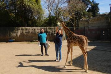 Reproducción animal crece un 25% en Chapultepec