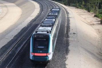 Asegura Sedena que el Tren Maya protege la fauna
