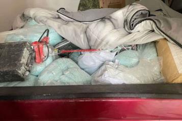 Decomisan más de una tonelada de fentanilo en Sinaloa
