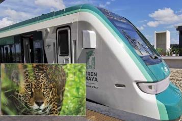 Asegura Semarnat control ambiental en el Tren Maya