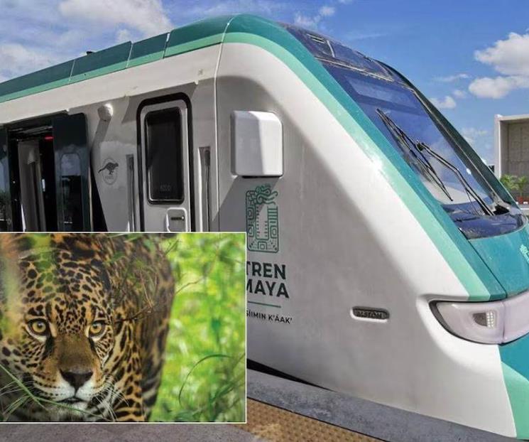 Asegura Semarnat control ambiental en el Tren Maya