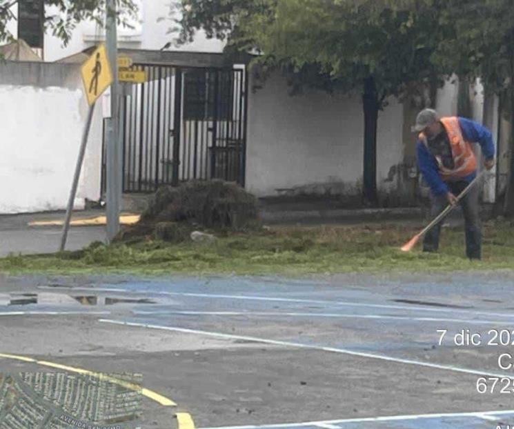 Recolectan basura vegetal