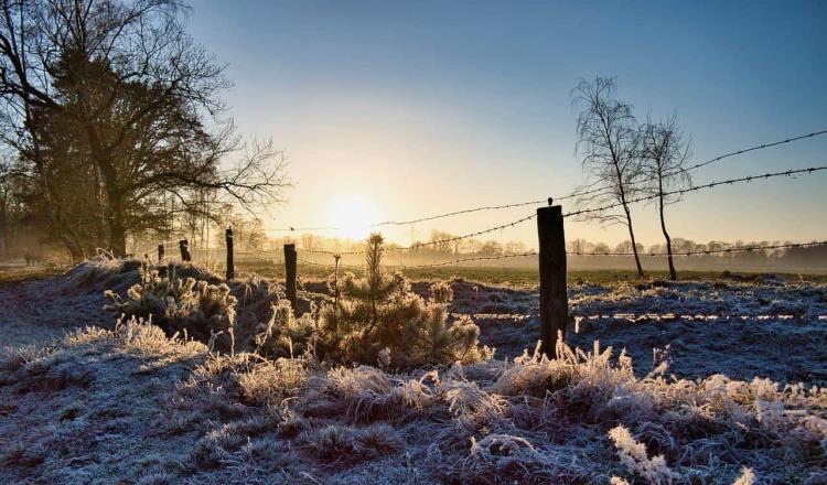 Solsticio de invierno 2024; la hora exacta del cambio de estación