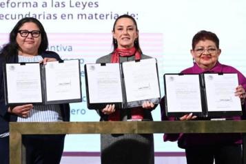 Firma mandataria leyes secundarias en materia de protección a las mu