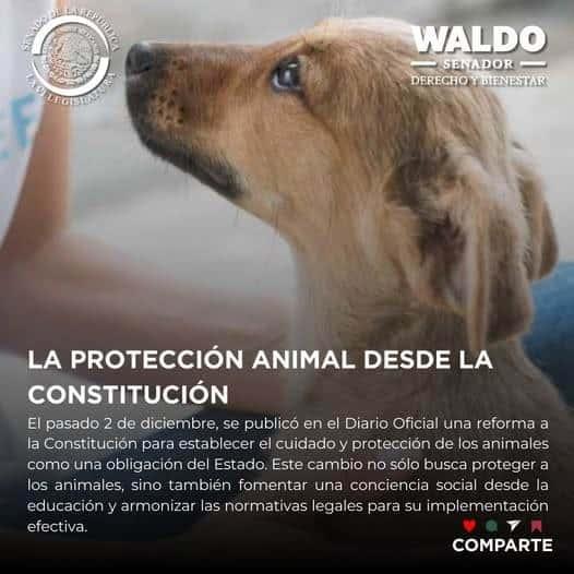 Avanza México en bienestar animal