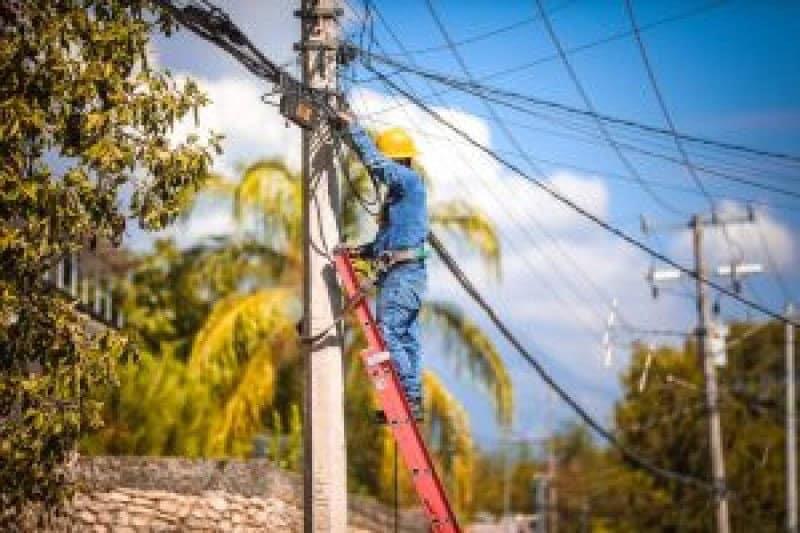 Retiran las telarañas urbanas