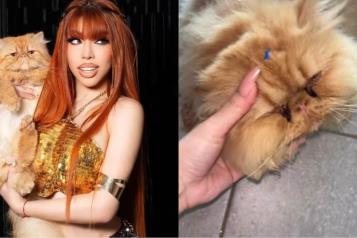 Acusan a Yeri Mua por maltrato animal