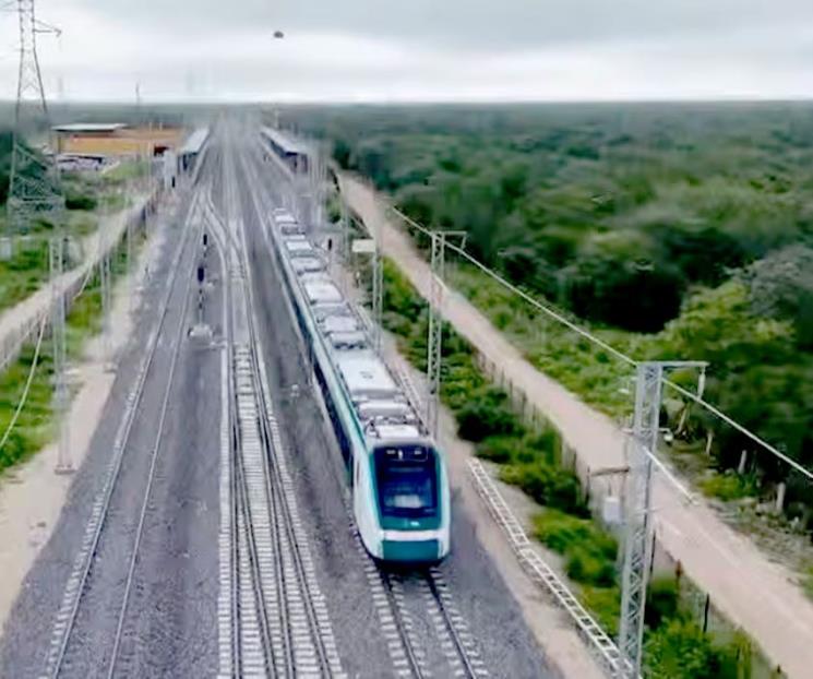 Critican ambientalistas estudio de agua en el Tren Maya