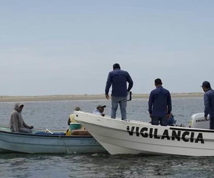 Decomisa Sader más de mil toneladas de pesca ilegal