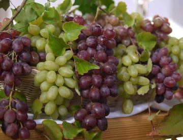 ¿Dónde venden las uvas más baratas según Profeco?