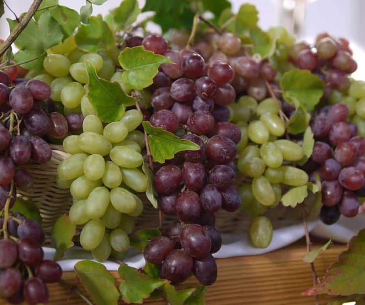 ¿Dónde venden las uvas más baratas según Profeco?