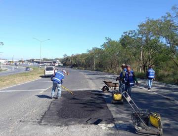 Dan municipios de región citrícola ‘manita de gato’ a la Nacional