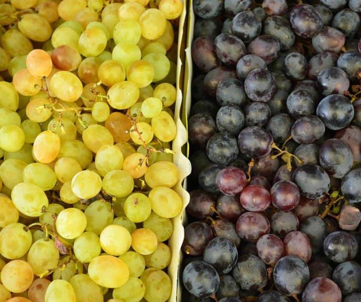 Cena de Año Nuevo: ¿es mejor comer uvas verdes o moradas?